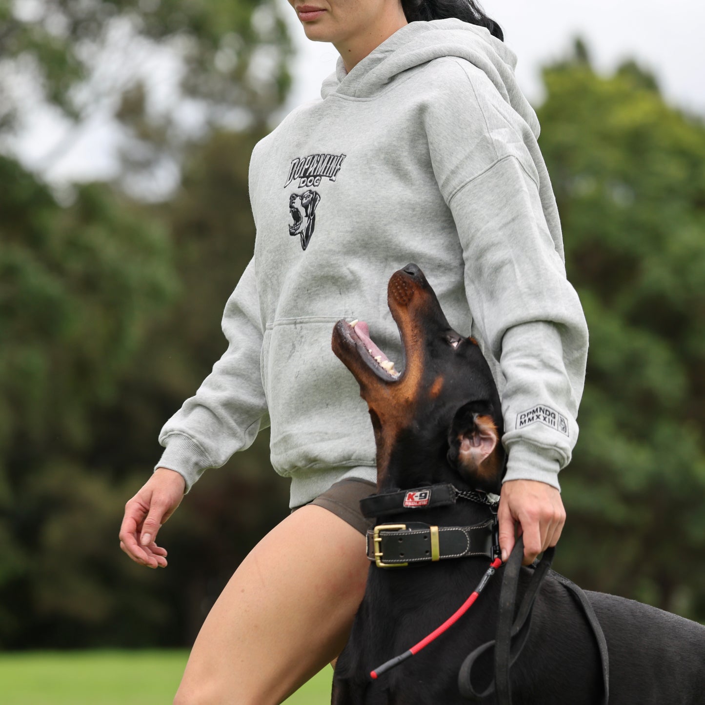 DOPAMINE DOG Logo Hoodie