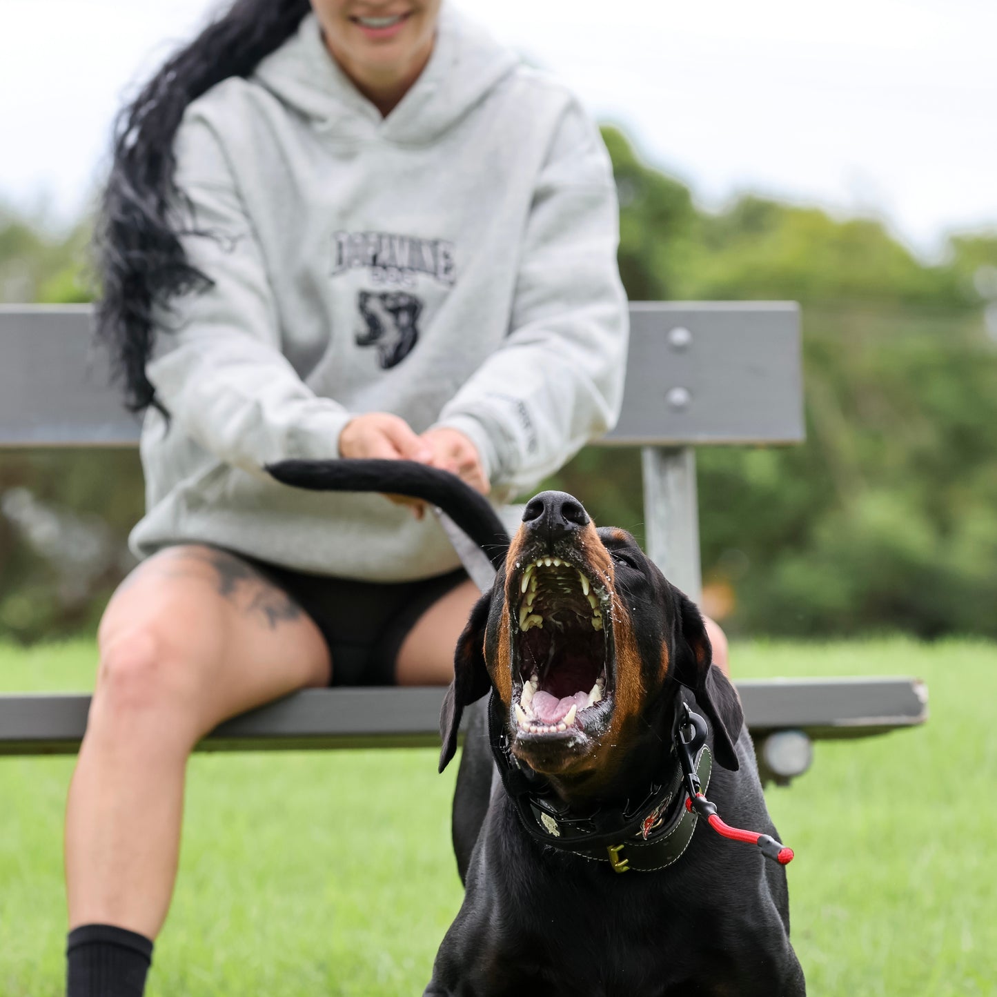 DOPAMINE DOG Logo Hoodie