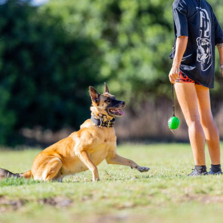 DOPAMINE DOG Monogram Tee
