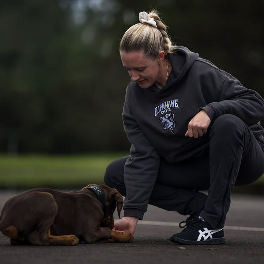 DOPAMINE DOG Logo Hoodie