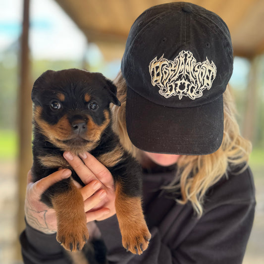 DOPAMINE DOG Metal 6 Panel Cap