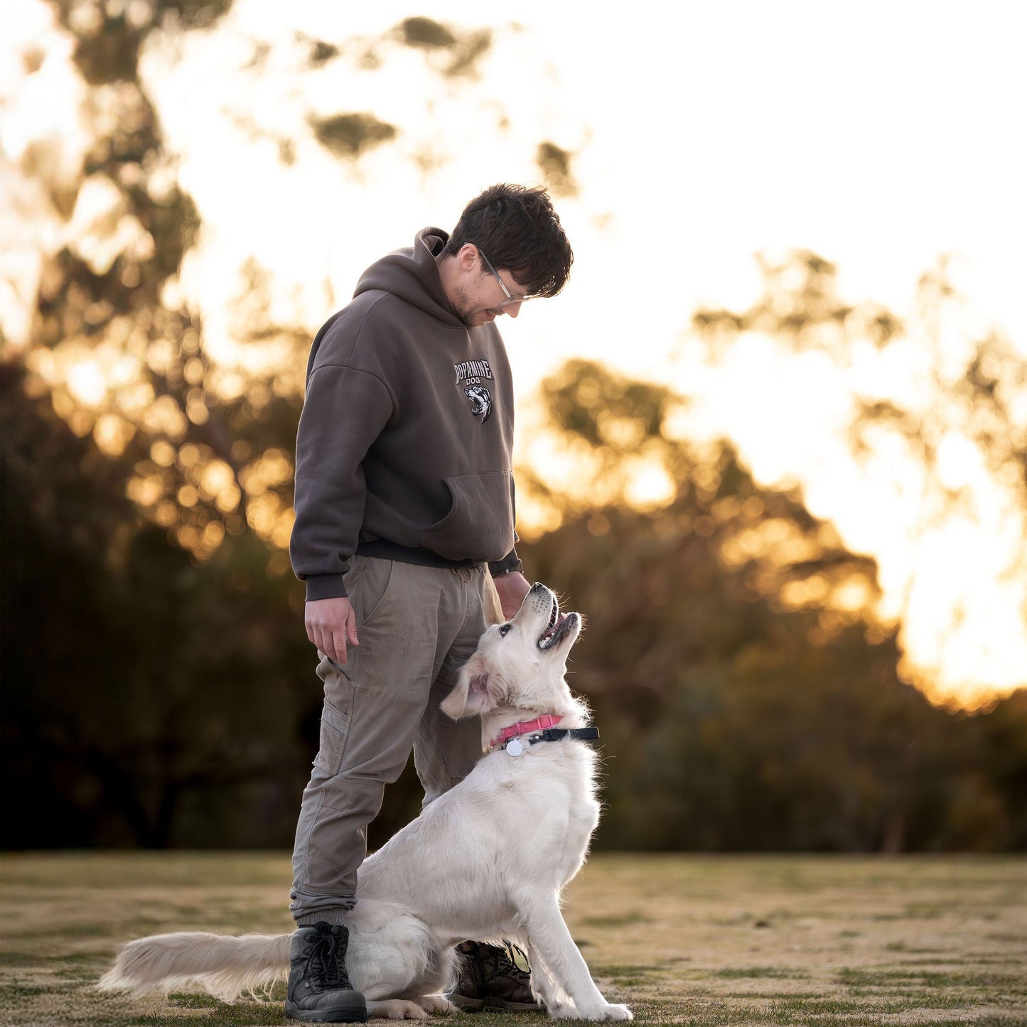 COMING SOON DOPAMINE DOG Utility Hoodie